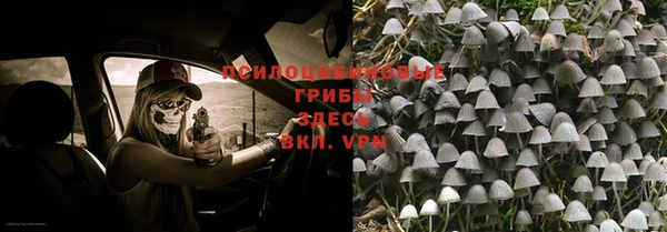 амф Абинск